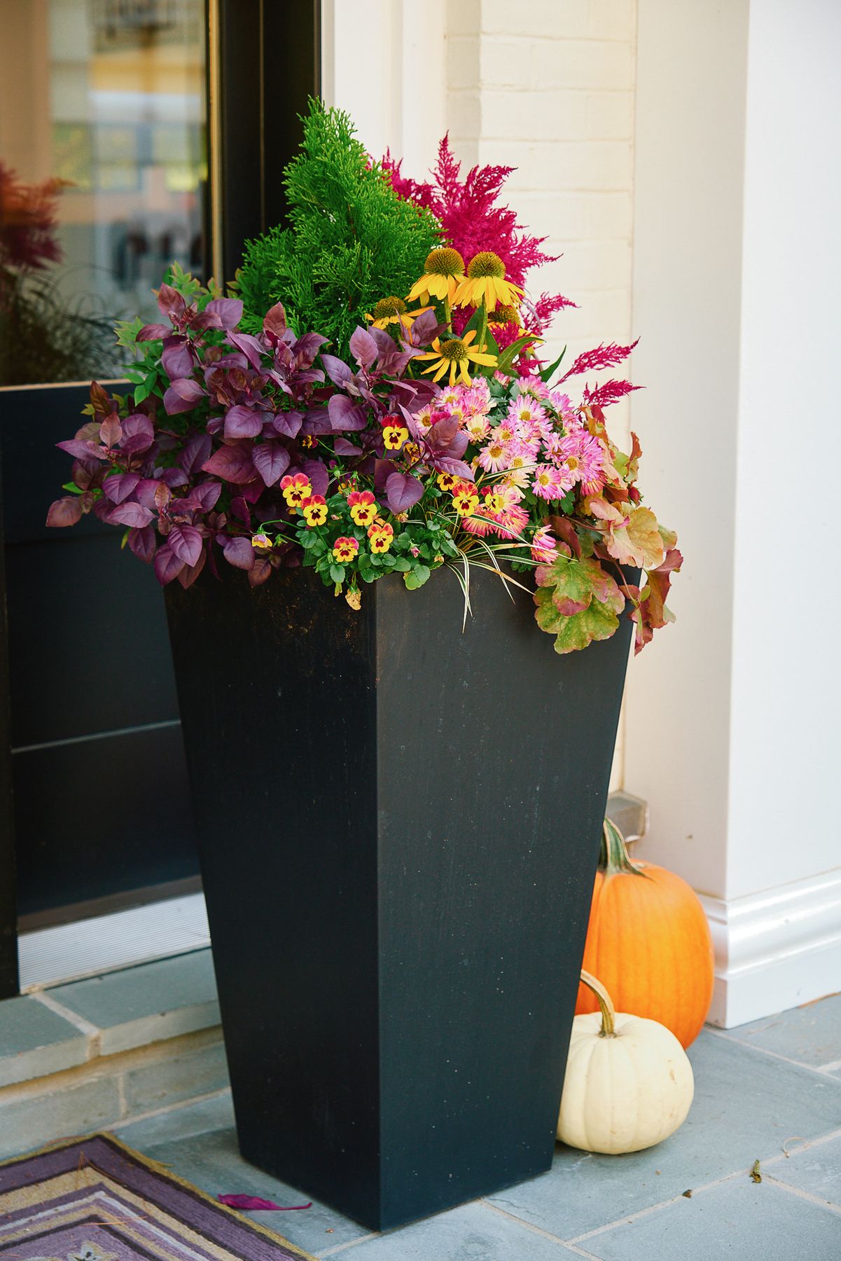 Enliven Planters fall container arrangement